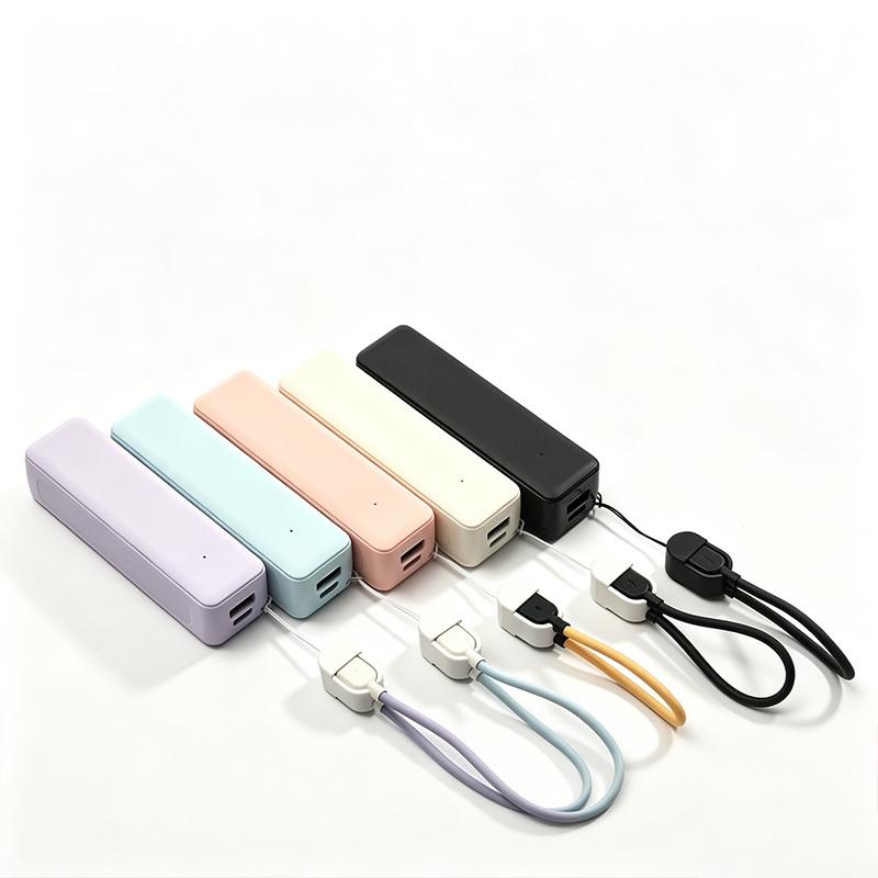 21700 Battery Power Bank Case  - огляд і ціна Electronics Project Kit